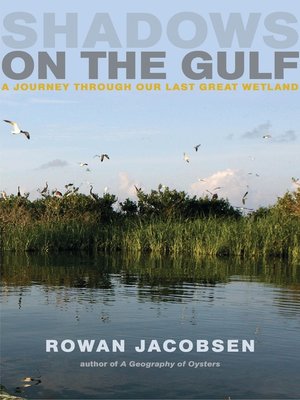 cover image of Shadows on the Gulf